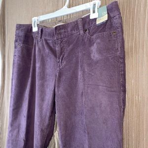 New purple corduroy pants